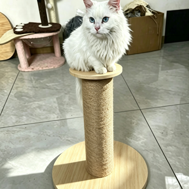 PoSuo Solid Wood Sisal Cat Scratching Post - Durable Cat Tower & Climbing Frame Toy for Indoor Cats