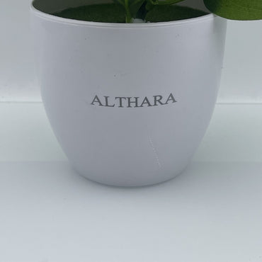 ALTHARA Lifelike Artificial Plant with Pot 1 Bundle of Vibrant Pothos for Effortless Indoor Decor