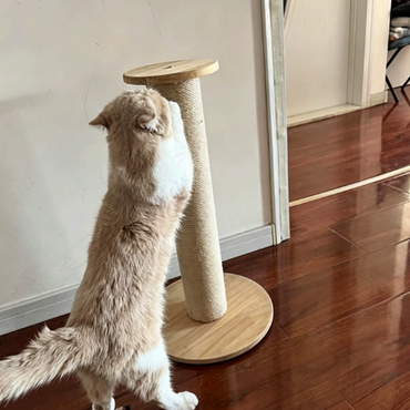 PoSuo Solid Wood Sisal Cat Scratching Post - Durable Cat Tower & Climbing Frame Toy for Indoor Cats
