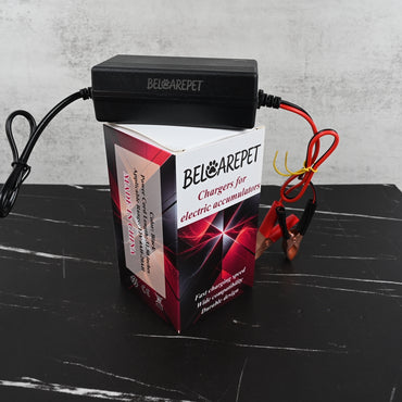 BELCAREPET Battery Charger for Lead Acid Batteries Electric Accumulator Charger