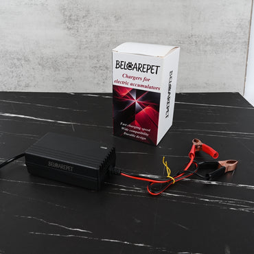 BELCAREPET Battery Charger for Lead Acid Batteries Electric Accumulator Charger