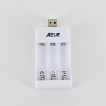 AEUE Chargers for Electric Batteries-Automatic Overload Protection