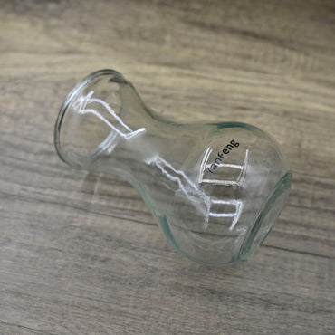 YanFeng Hydroponic Plant Vase-Indoor Terrariums for Plants