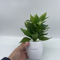 ALTHARA Lifelike Artificial Plant with Pot 1 Bundle of Vibrant Pothos for Effortless Indoor Decor