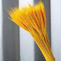 ChuTian Dried Wheat Stalks Sheaves - Natural Dried Flowers Bunch for Countryside Home, Living Room & Wedding Floral Arrangement