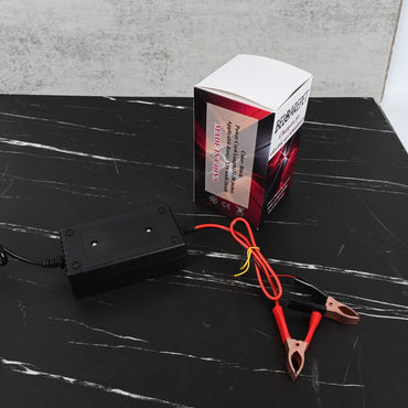 BELCAREPET Battery Charger for Lead Acid Batteries Electric Accumulator Charger