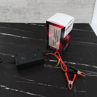 BELCAREPET Battery Charger for Lead Acid Batteries Electric Accumulator Charger