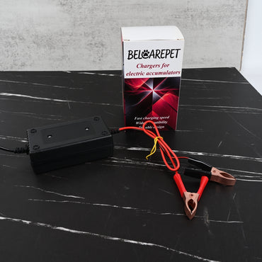 BELCAREPET Battery Charger for Lead Acid Batteries Electric Accumulator Charger