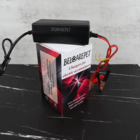 BELCAREPET Battery Charger for Lead Acid Batteries Electric Accumulator Charger