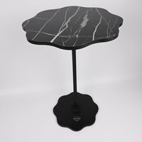 ARDARA HOME Modern Furniture of Metal Round Side End Table Premium Iron Construction Minimalist Design