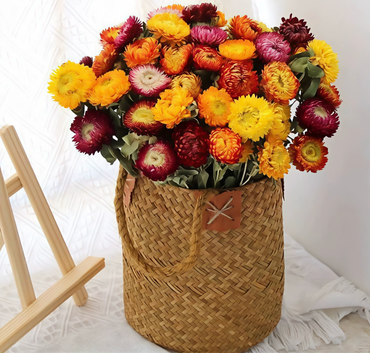 ChuTian Real Dried Flowers - 60 Pcs Straw Chrysanthemums Everlasting Bouquet | Ideal for Home Decor, Floral Art, Photography Props & Gift Giving