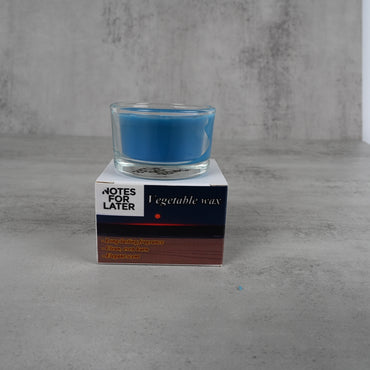 NOTES FOR LATER Beach Walk Scented Candle in Blue Coastal Soy Wax Candle with Ocean Breeze Fragrance