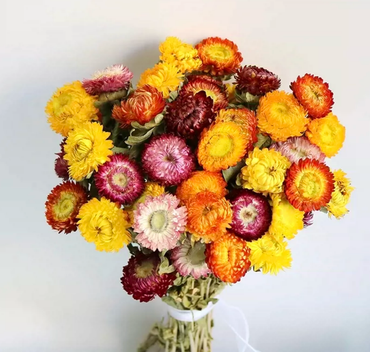 ChuTian Real Dried Flowers - 60 Pcs Straw Chrysanthemums Everlasting Bouquet | Ideal for Home Decor, Floral Art, Photography Props & Gift Giving
