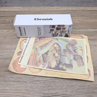 Ebroniah Modern Art Printed Posters Gallery Quality Wall Decor Premium Fine Art Collection Artistic Home Decoration Prints