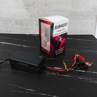 BELCAREPET Battery Charger for Lead Acid Batteries Electric Accumulator Charger