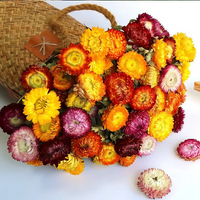ChuTian Real Dried Flowers - 60 Pcs Straw Chrysanthemums Everlasting Bouquet | Ideal for Home Decor, Floral Art, Photography Props & Gift Giving