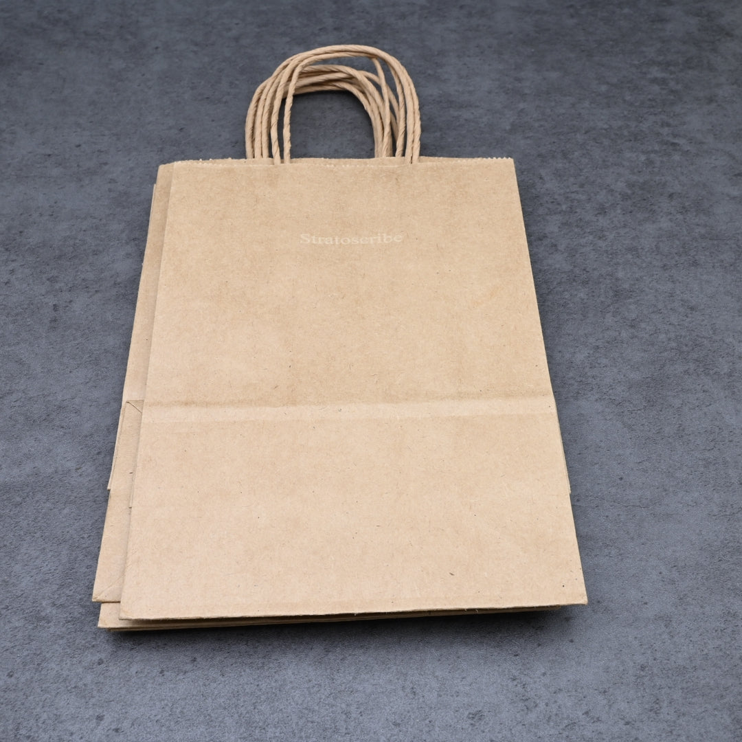 Stratoscribe Gift Bags Premium Quality Paper Present Bags Bulk Pack Elegant Design for Birthday Wedding Party Holiday Christmas Gift Giving All Occasions