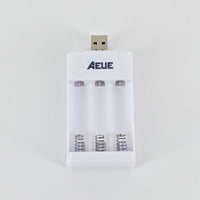 AEUE Chargers for Electric Batteries-Automatic Overload Protection