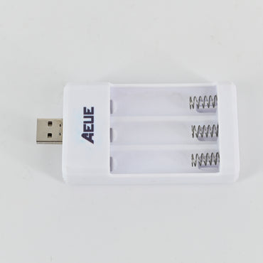 AEUE Chargers for Electric Batteries-Automatic Overload Protection