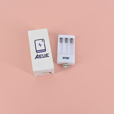 AEUE Chargers for Electric Batteries-Automatic Overload Protection