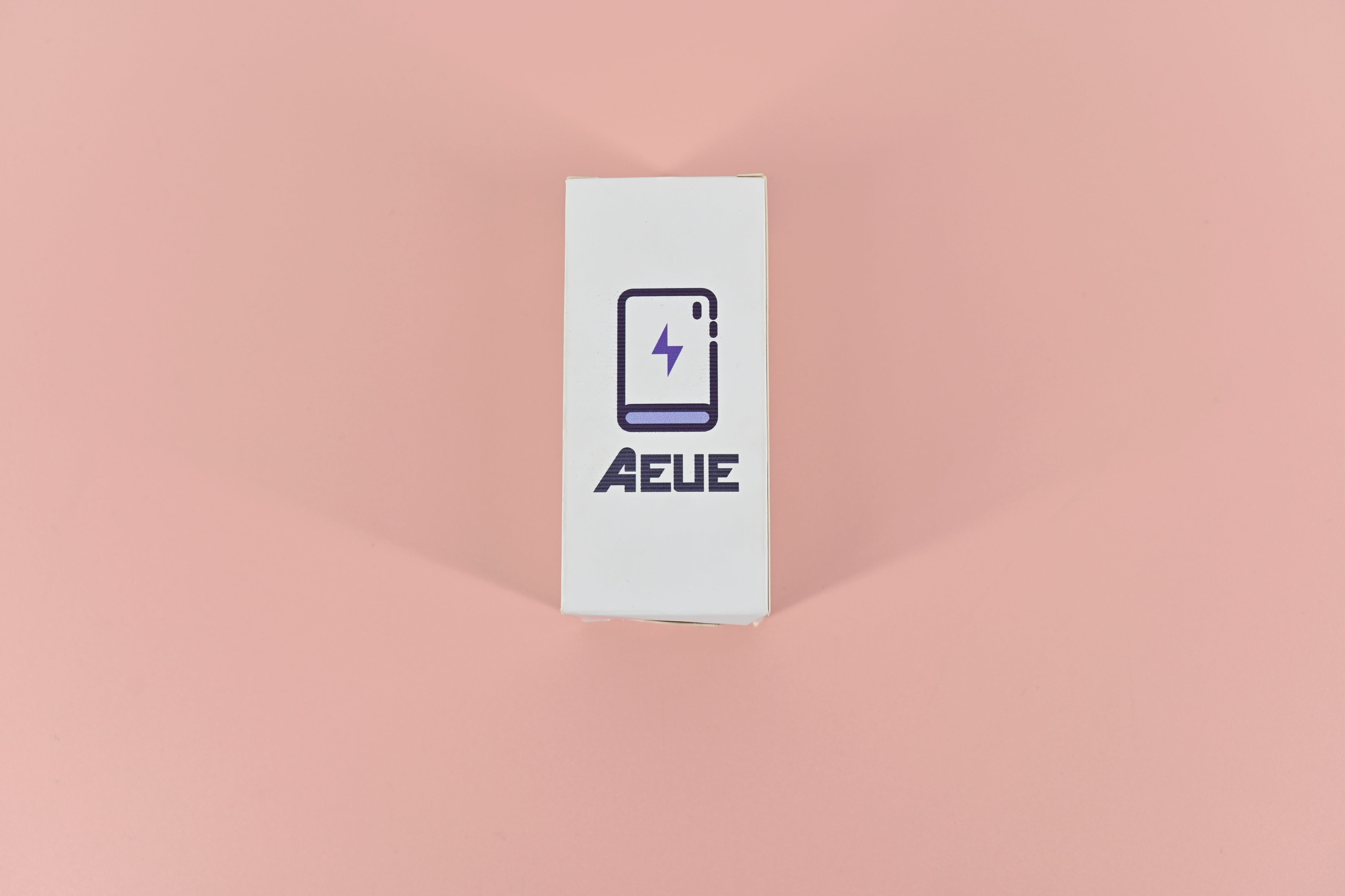 AEUE Chargers for Electric Batteries-Automatic Overload Protection