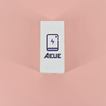 AEUE Chargers for Electric Batteries-Automatic Overload Protection