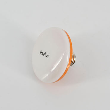 Paulus Lightbulbs Super Bright within 8 Square Meters