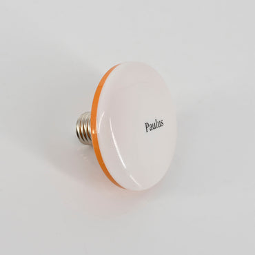 Paulus Lightbulbs Super Bright within 8 Square Meters