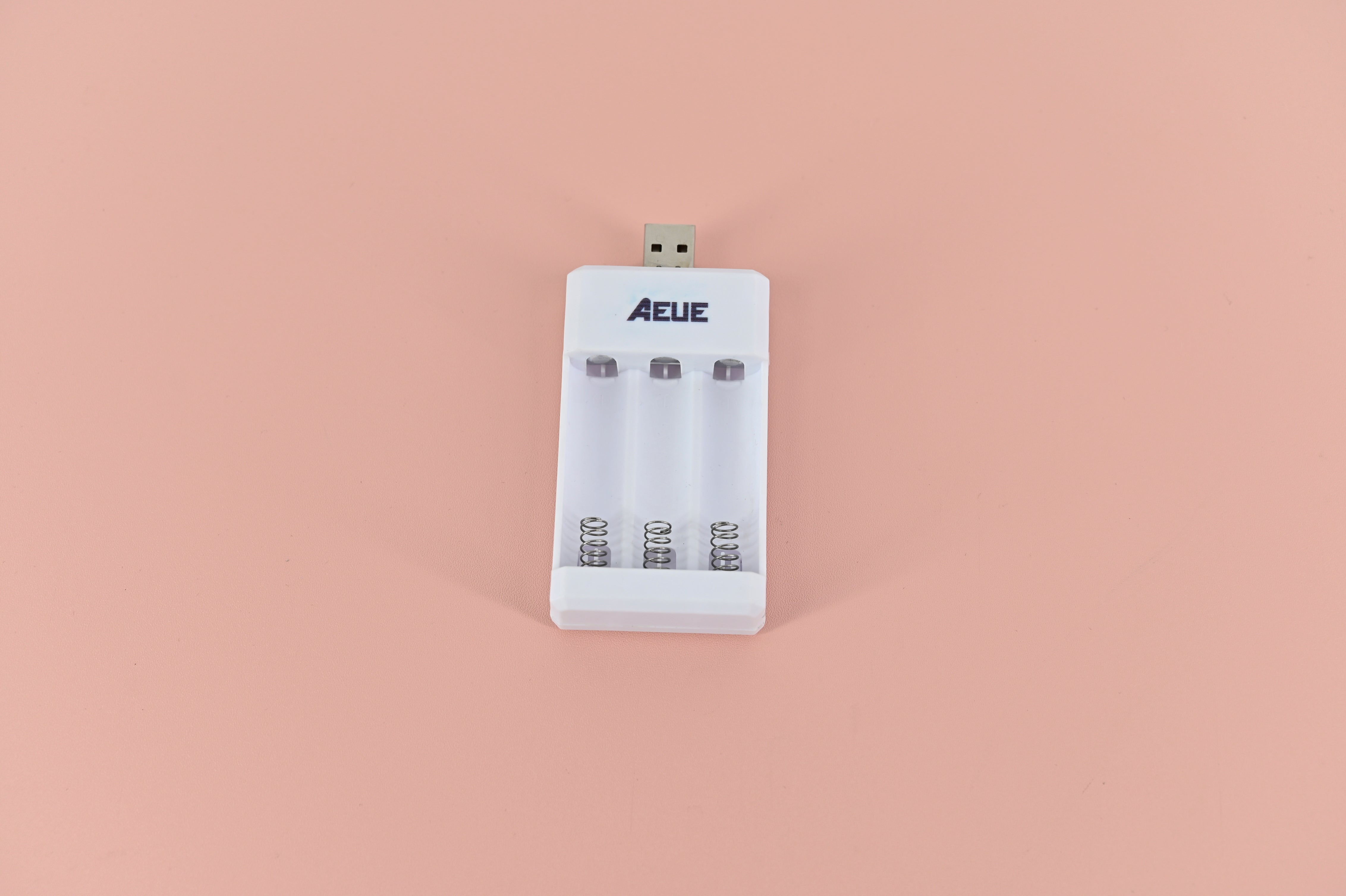 AEUE Chargers for Electric Batteries-Automatic Overload Protection