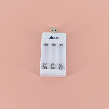 AEUE Chargers for Electric Batteries-Automatic Overload Protection