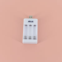 AEUE Chargers for Electric Batteries-Automatic Overload Protection