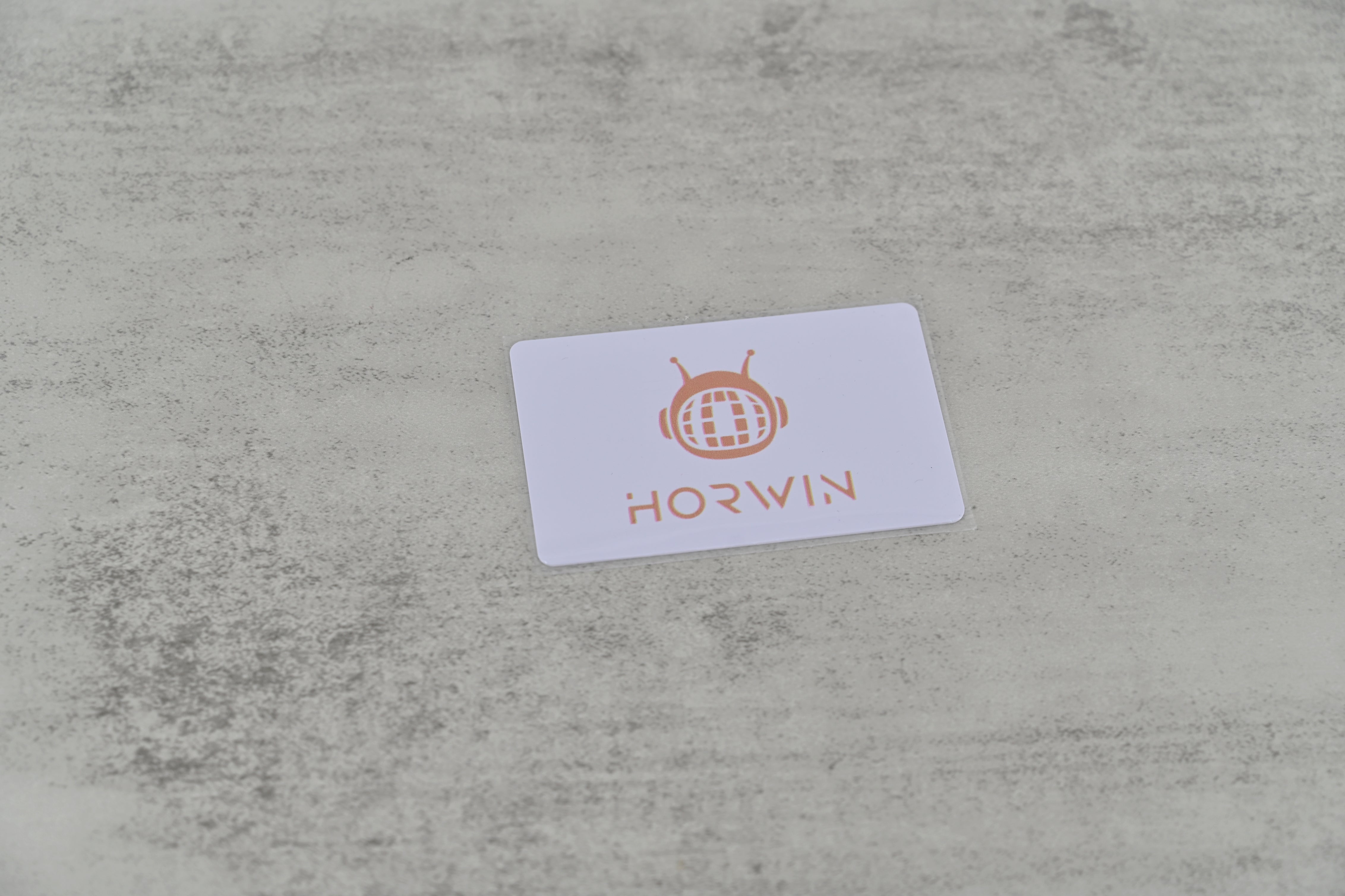 HORWIN Encoded Key Cards Encrypted Blank Card